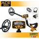 Garrett ACE 300i